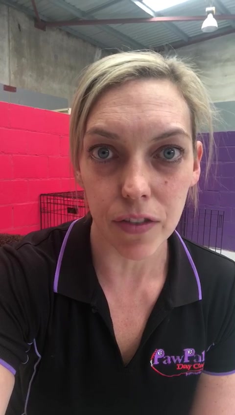 Laura Maher video testimonial